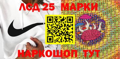 индика Ростов Великий