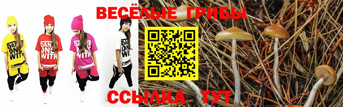 Галлюциногенные грибы Magic Shrooms Ефремов