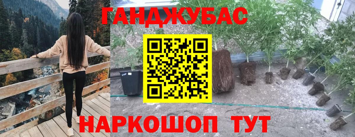 Шишки марихуана тримм Ефремов